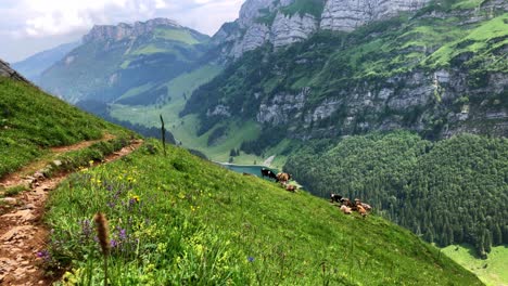 esta foto muestra toda la belleza de suiza