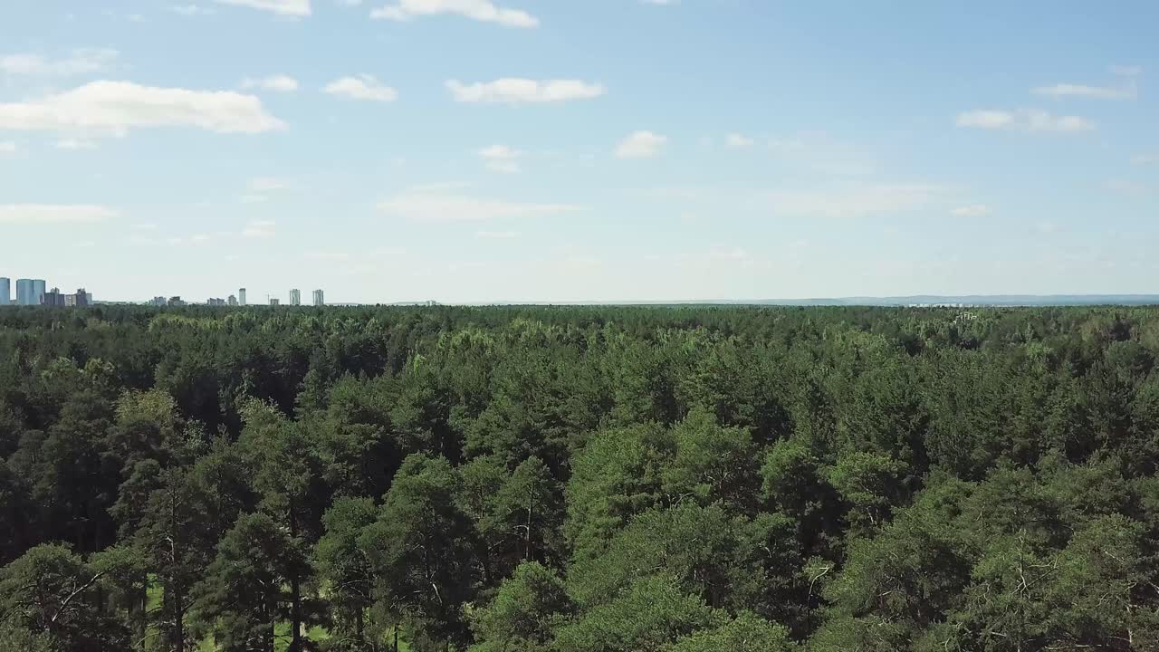 Forest and Cityscape Aerial View