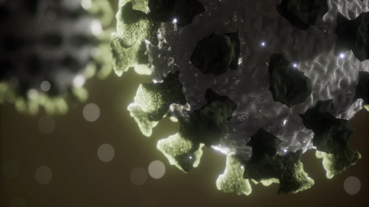 Exploring the intricate structure of a virus under microscopic observation