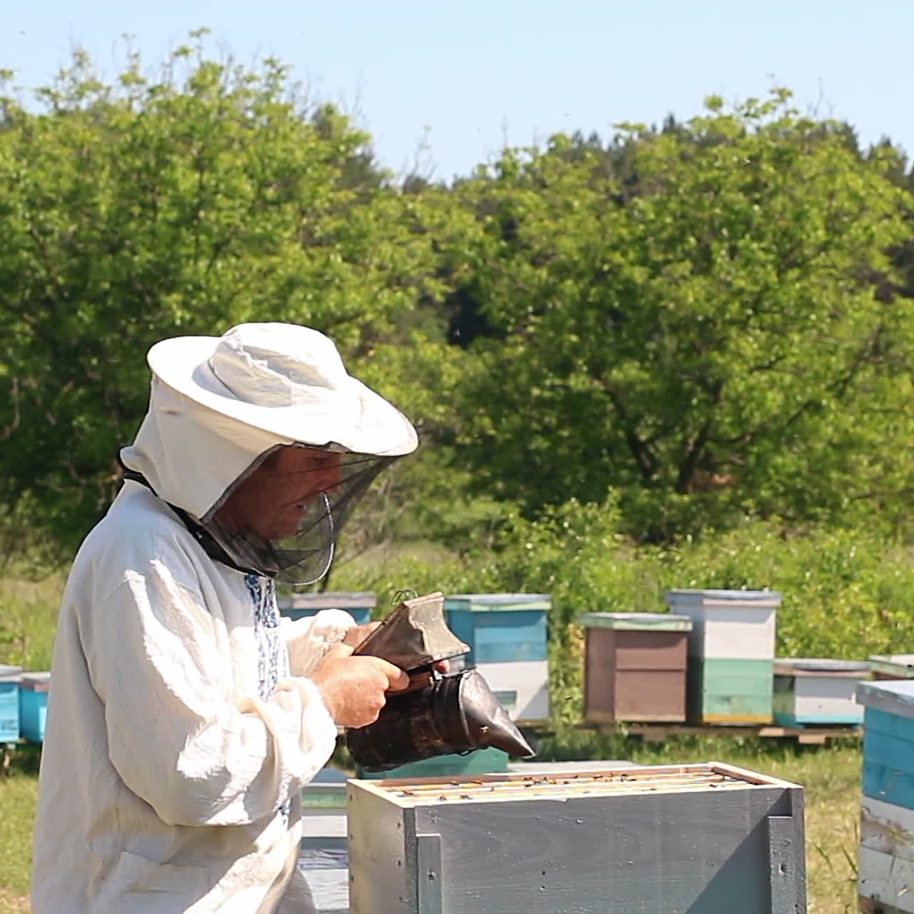 Beekeeper is working with bees and beehives on the apiary. Frames of a bee hive. Apiary concept