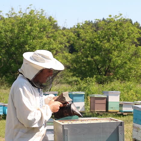 Beekeeper is working with bees and beehives on the apiary. Frames of a bee hive. Apiary concept