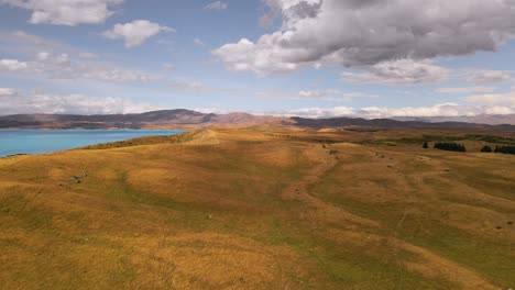 Goldene-Ebenen-Auf-Ackerland-Mit-Türkisfarbenem-See-Im-Hintergrund