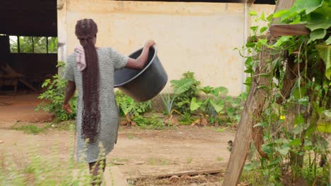 Bringing-a-big-container,-a-local-girl-walks-through-a-vegetable-garden-to-a-nearby-barn,-in-a-village-in-Kumasi,-Ghana,-Africa