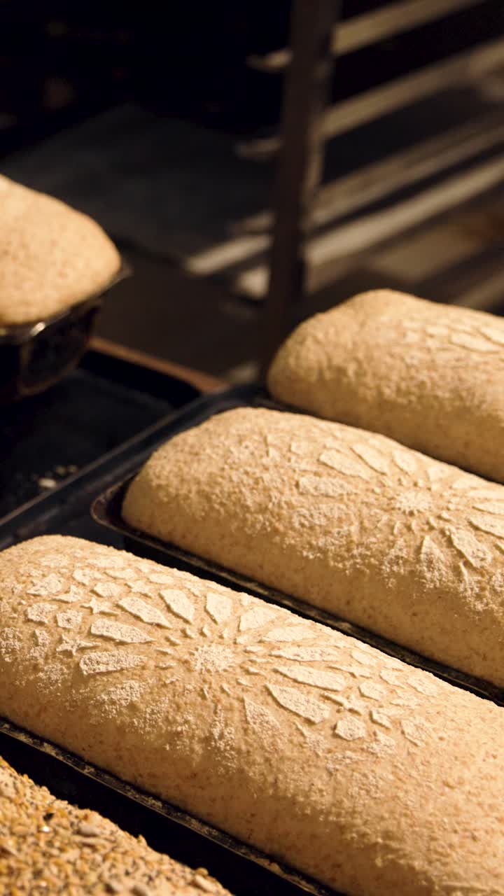 Artisanal Bread Dough Rising in Baking Pans