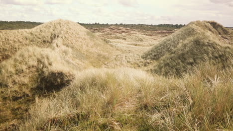 Malerischer-Blick-Auf-Die-Dünenlandschaft-Mit-Dünengras-An-Der-Atlantikküste-In-Dänemark