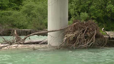 driftwood stuck in river behind concrete bridge pillar, static wide shot of hazardous branches