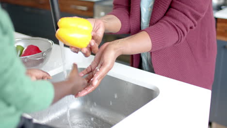 happy african american grandmother and grandson washing vegetables in kitchen, slow motion