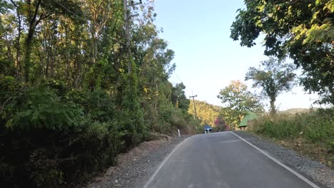 progression of a vehicle driving through a wooded area