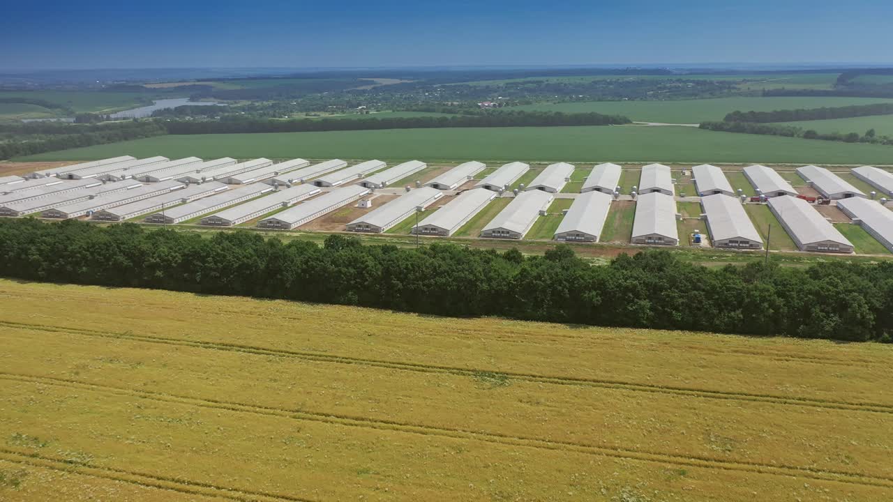 Aerial view on the roofs of modern farmhouses in the countryside. Side view on long buildings for livestock on the natural fields background in a summer day.