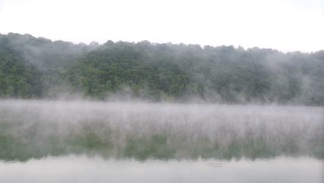 fog over the forest with the river beautiful morning landscape fog over the forest with the river beautiful morning landscape forest river flows in the fog