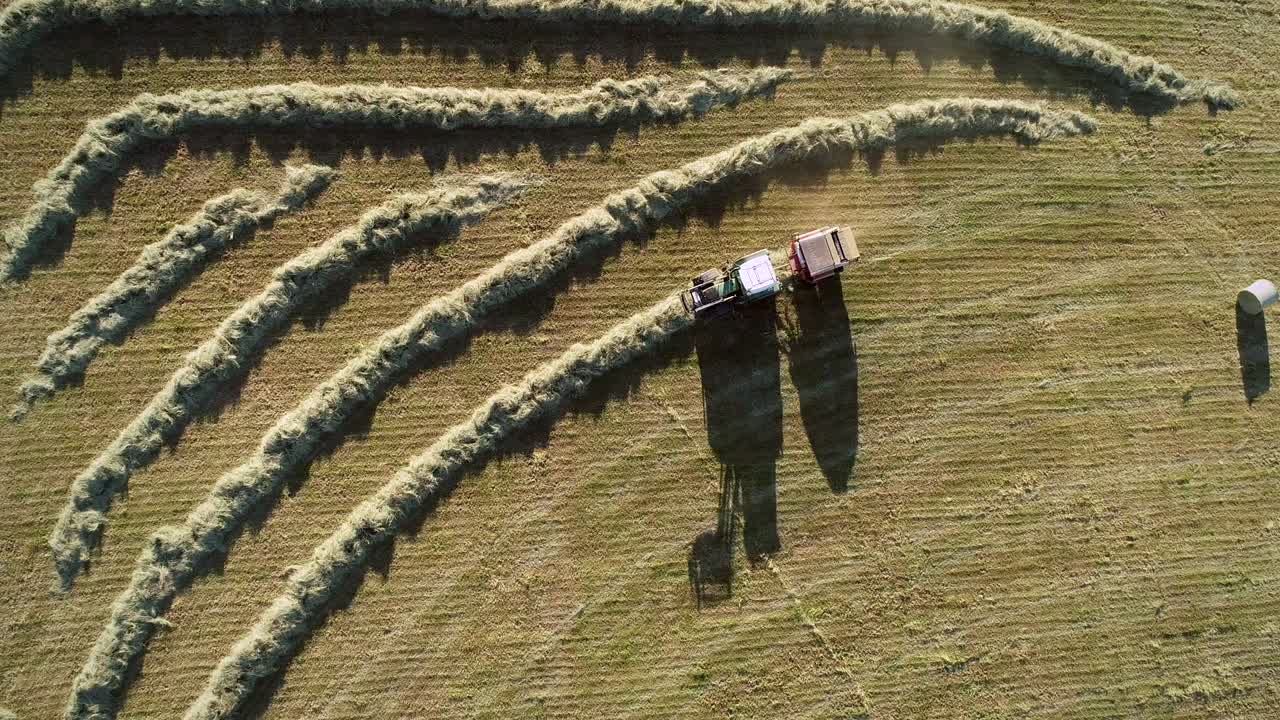 어리 를 수확 하는 트랙터 의 공중 사진.