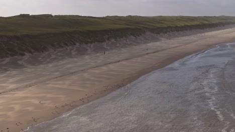 coastal beach scene with dunes and birds