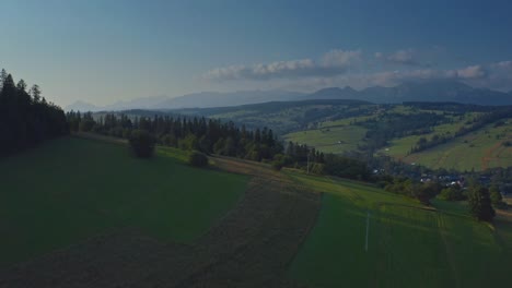 Vista-Aérea-De-Vastos-Campos-En-La-Aldea-De-Dzianisz-En-Polonia---Disparo-De-Drones