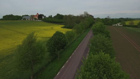 flying above moving trees by countryside road in south sweden skåne, österlen tosterup, aerial medium foward