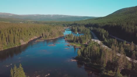 crane up while tilt down drone shot over a river in a large forest in mid norway