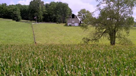 Antenne-Der-Amerikanischen-Flagge-Mit-Scheune-über-Maisfeldantenne