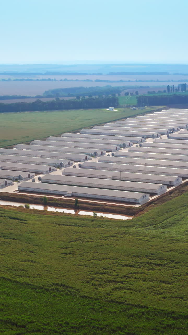 Aerial view farming landscapes. Green plantation seasonal farm. Vertical video