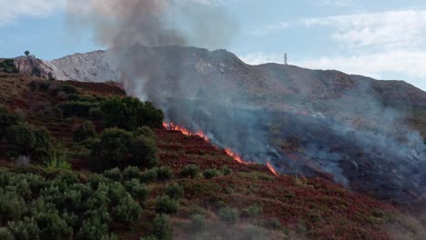 wildfire on mountainside meadow and forest on fire