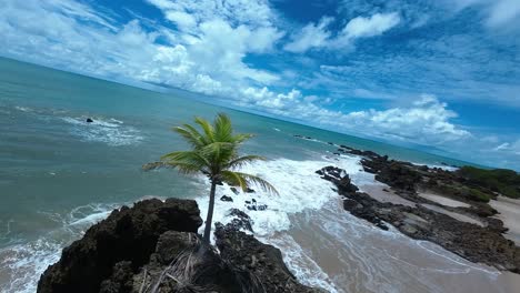 tambaba beach at conde in paraiba brazil