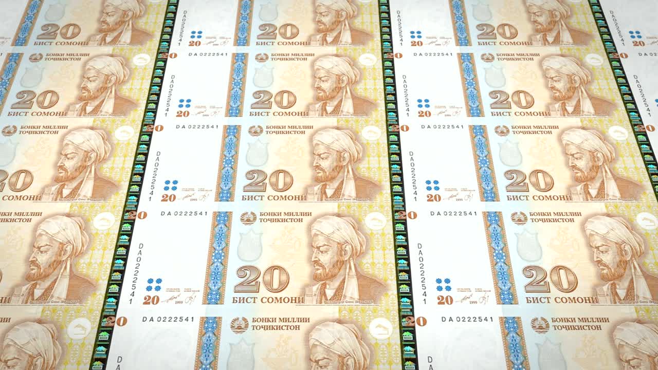 20 타지키스탄 소모니의 지폐, 현금, 루프