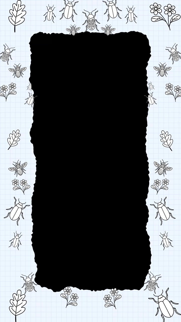 Hand-drawn style insects and floral sketches animate continuously around a vertical alpha frame.