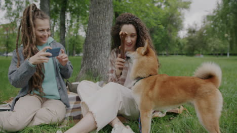 friends enjoying a picnic in the park with their dog