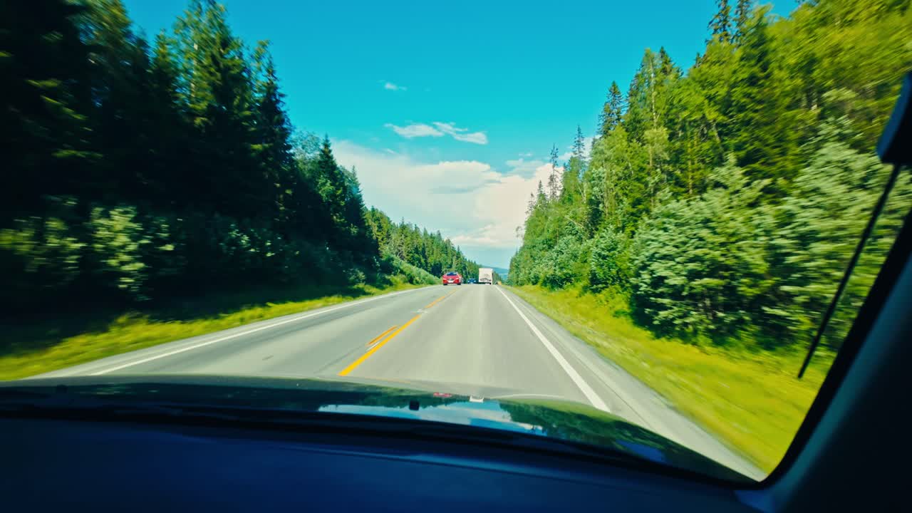 Fahrt auf einer geraden Straße, gesäumt von dichten Kiefernwäldern, unter strahlend blauem Himmel, E6 Nord von Fosen, Trøndelag, Norwegen – POV-Aufnahme.