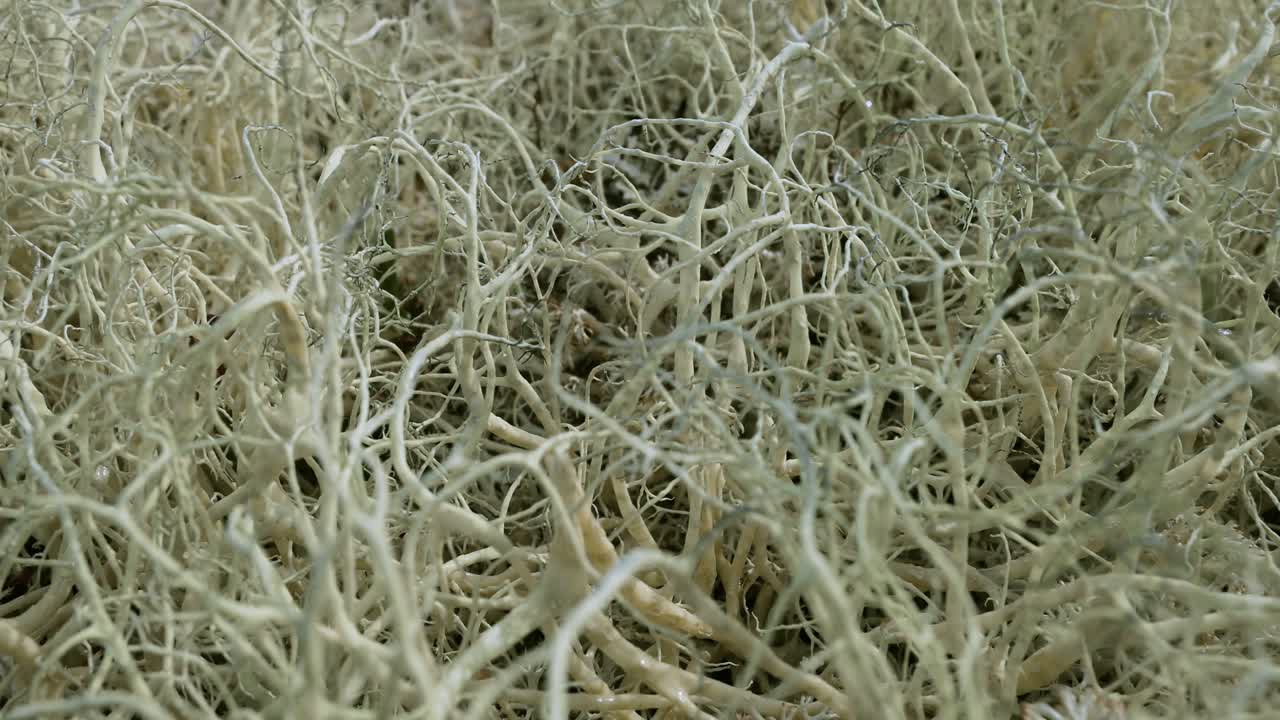 북극 드라, 아름다운 자연, 노르웨이 자연 풍경