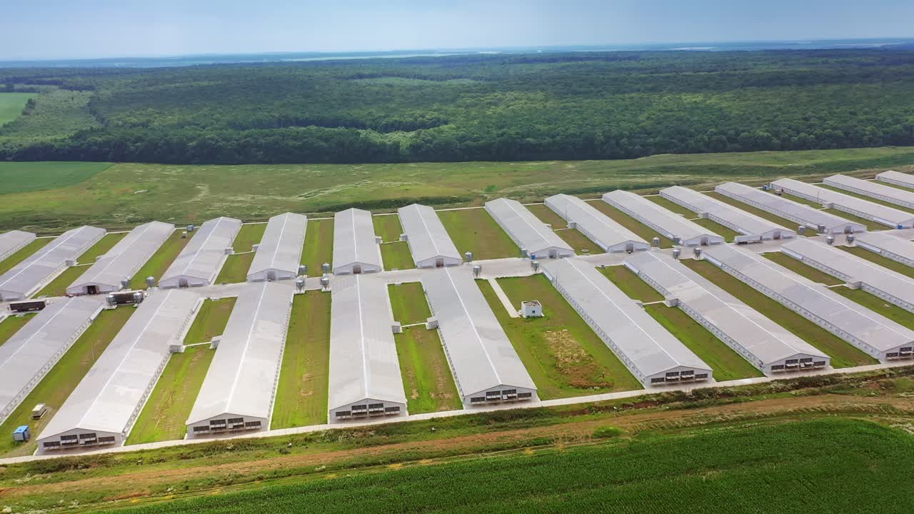Flying near the modern farm for poultry in rural place. Aerial view to the new agricultural complex for farming in a sunny day.