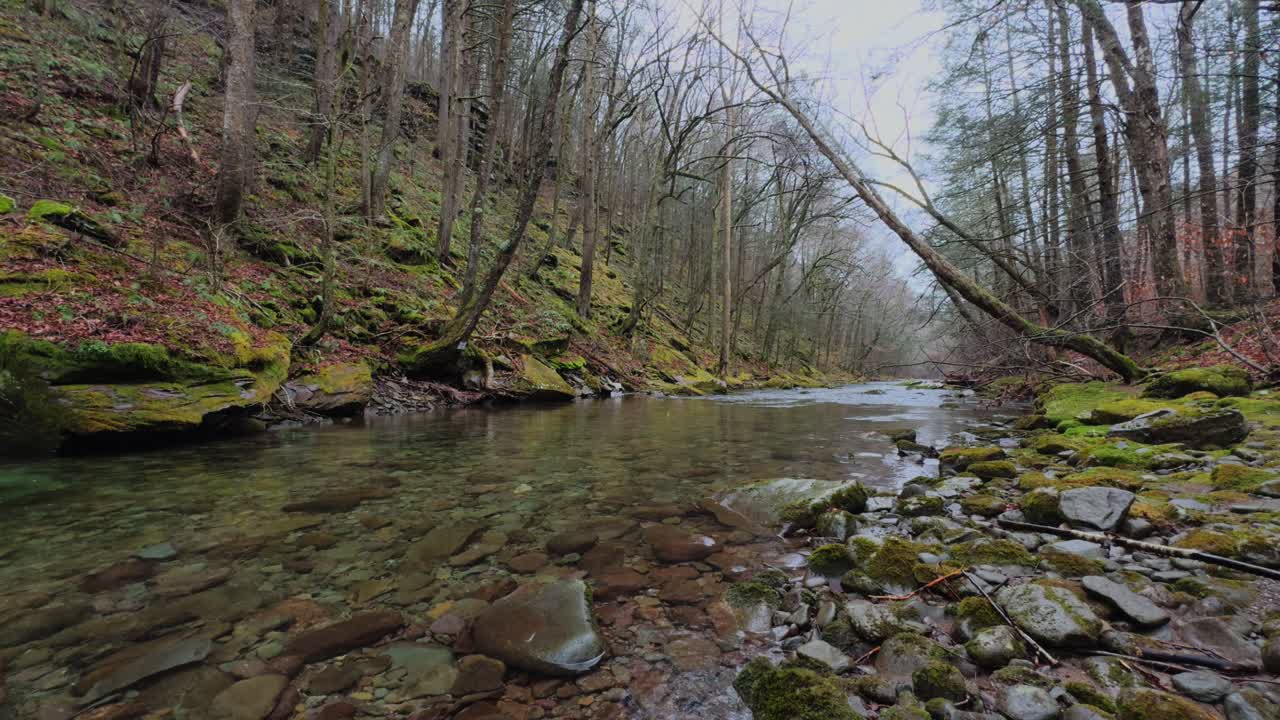 A beautiful fishing stream in New York's Catskill Mountains on a rainy early spring day