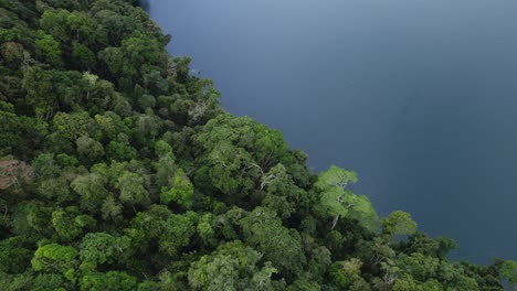 lush green vegetation and calm waters of lake eacham in atherton tablelands, qld, australia - aerial drone shot