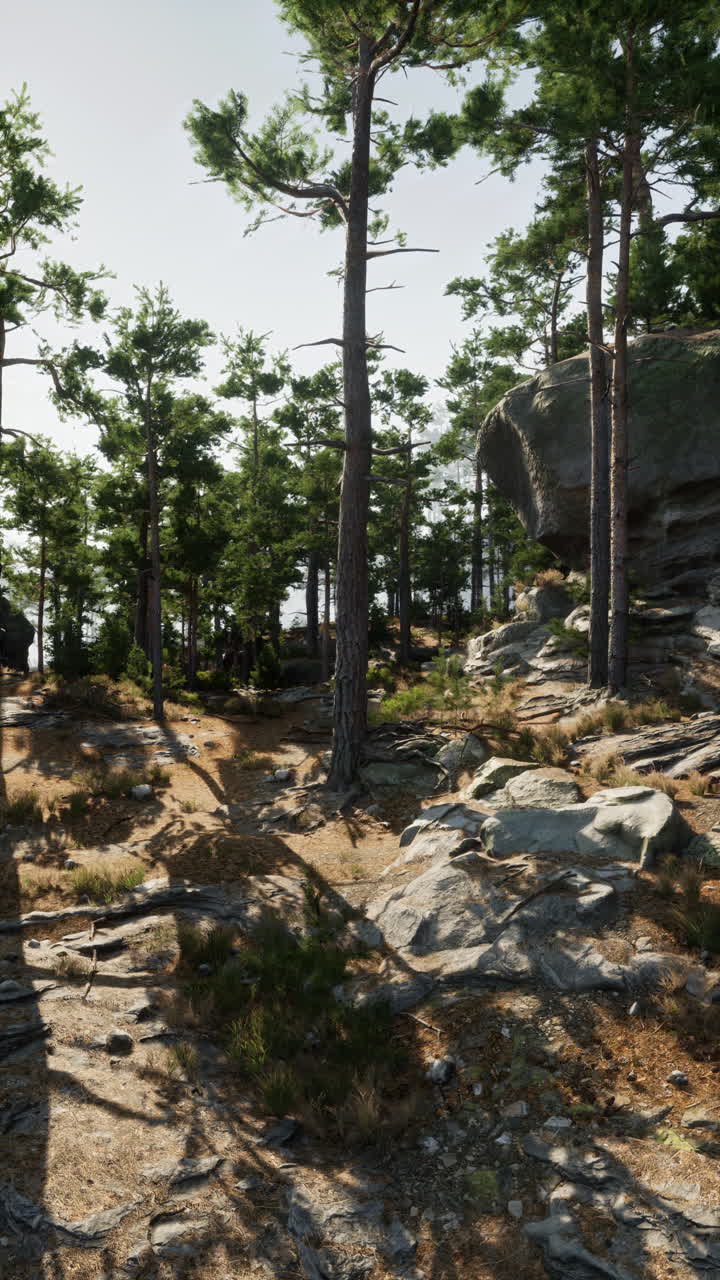 una vista panorámica de un bosque con pinos y un afloramiento rocoso