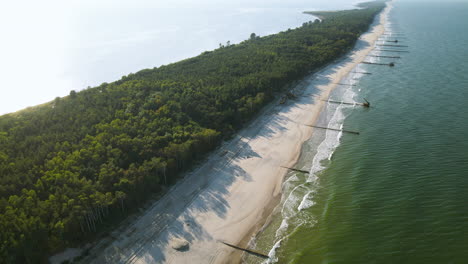 dense foliage forest landscape with white sandy beachfront overlooking hel peninsula in kuznica, poland during sunny morning