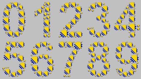 conjunto de números bosnios