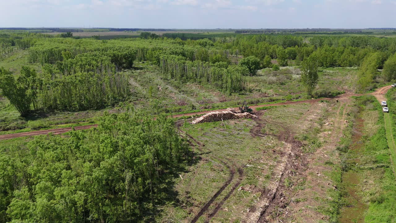Drone view of cleared forest area showing signs of deforestation with dry earth and sparse growth
