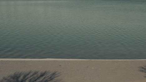 joven patinadora cruza patinando la pantalla, pasando frente a un río