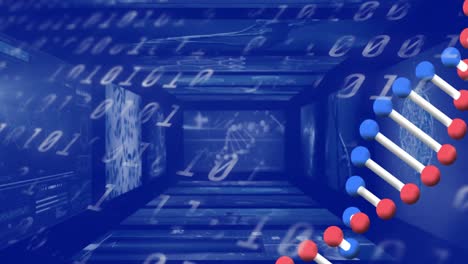 dna structure spinning over screens on medical data processing against binary coding