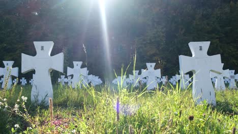 white Cross Tomb of World War Ii Troops at the Ukrainian White Cross Tomb of World War Ii Troops at the Ukrainian Cemetery and Ss Halychyna Memorial