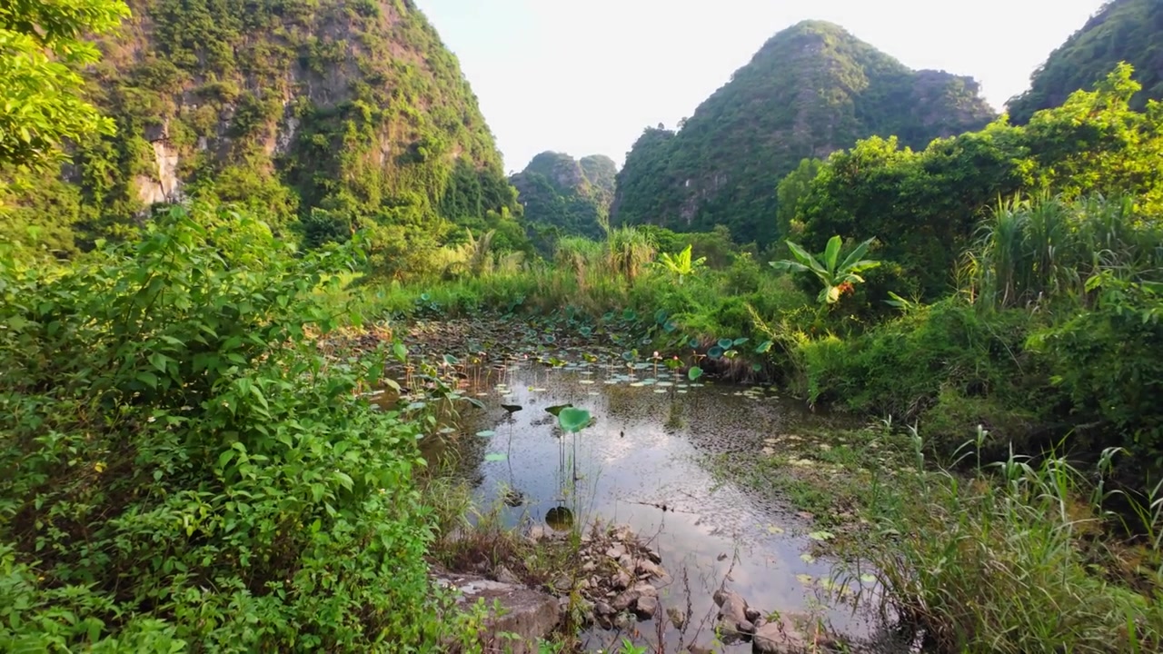 Scenic limestone cliffs surround a lush valley with a tranquil lilypad-covered lake in the foreground, showcasing Ninh Binh’s iconic karst landscape.