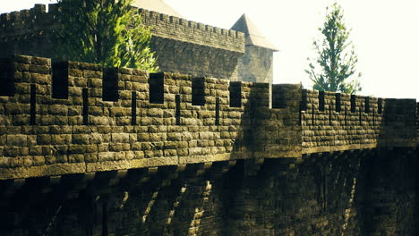 detailed view of a medieval stone castle wall under bright sunlight