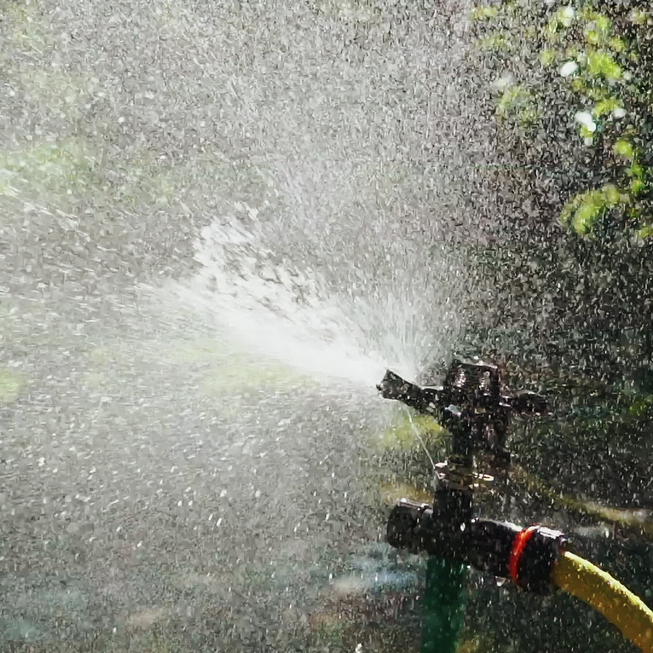 Lawn Sprinkler in Action. Watering the green grass. Slow motion