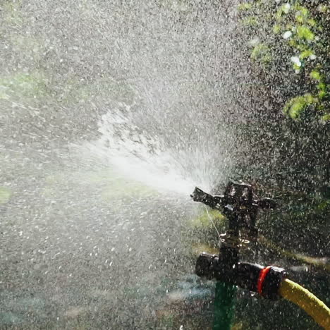 lawn sprinkler in action. watering the green grass. slow motion