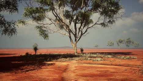 paisaje de sabana africana con árboles de acacia