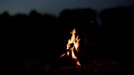 bonitas imágenes de cerca de una fogata en la noche