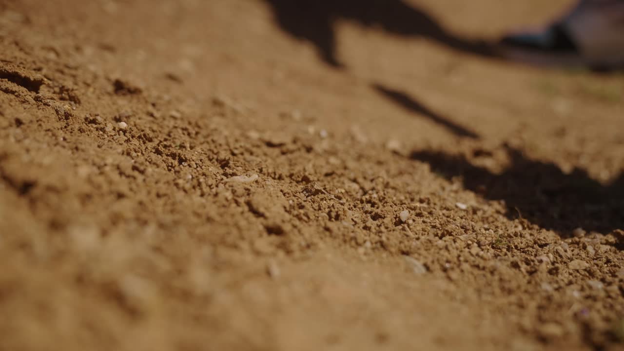 Close-up of Dry Soil with a Shovel