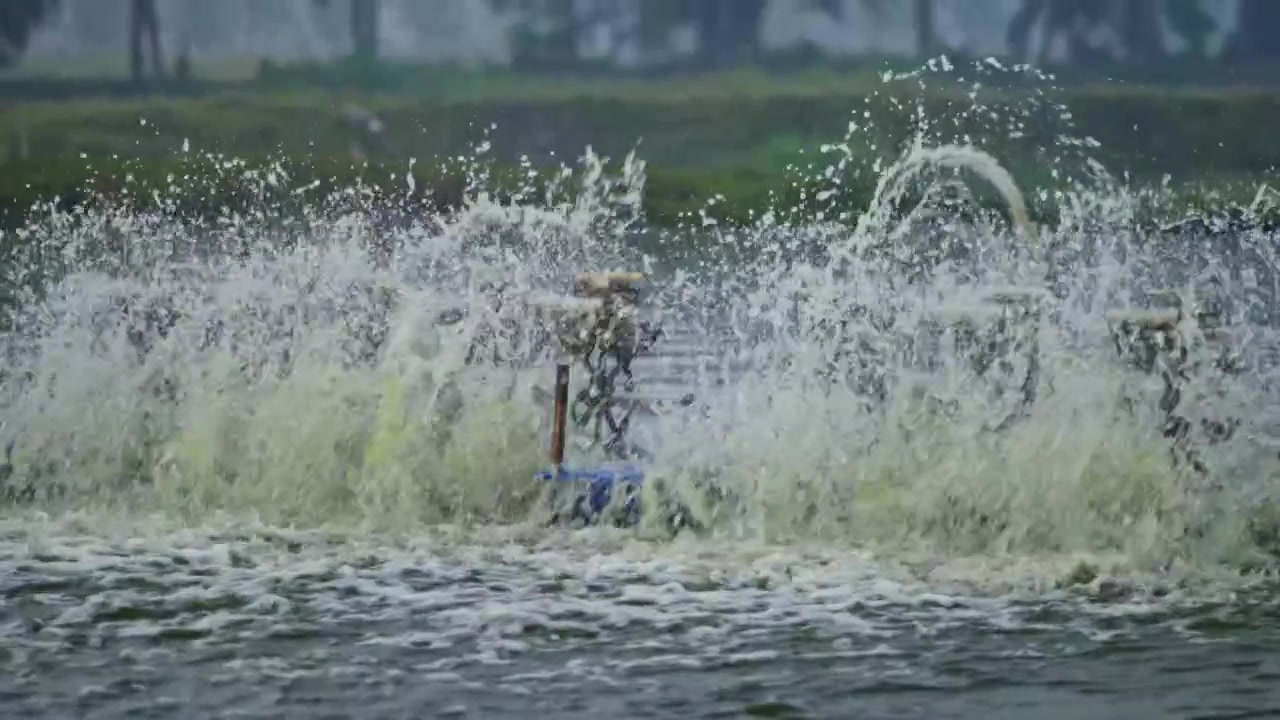 Paddle Wheel Aerator Running in Aquaculture Pond Creating Water Splash at Bhimavaram, andhra pradesh, india. day time, zoom out shot, hand held shot, 4k.
