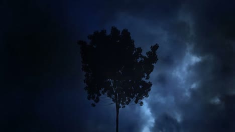 Trueno-Y-árbol-En-La-Noche