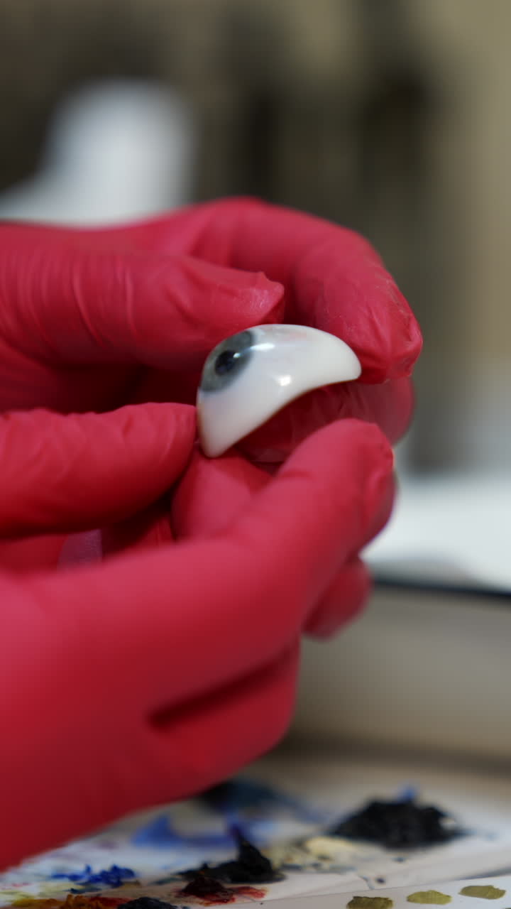 Ophtalmologist holds plastic eyeball in hands. Detailed model of eye. Selective focus on hands in red latex gloves. Vertical video