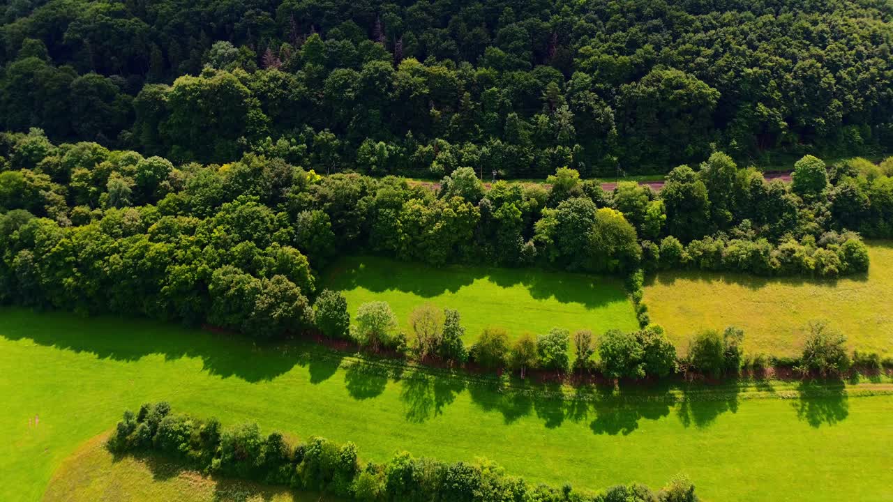 Drone View of Lush Green Fields Divided by Tree Rows and Forest Edge in Peaceful Rural Countryside on Sunny Day