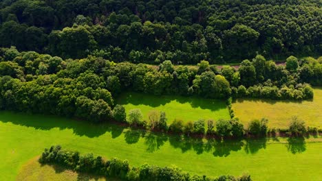 drone view of lush green fields divided by tree rows and forest edge in peaceful rural countryside on sunny day
